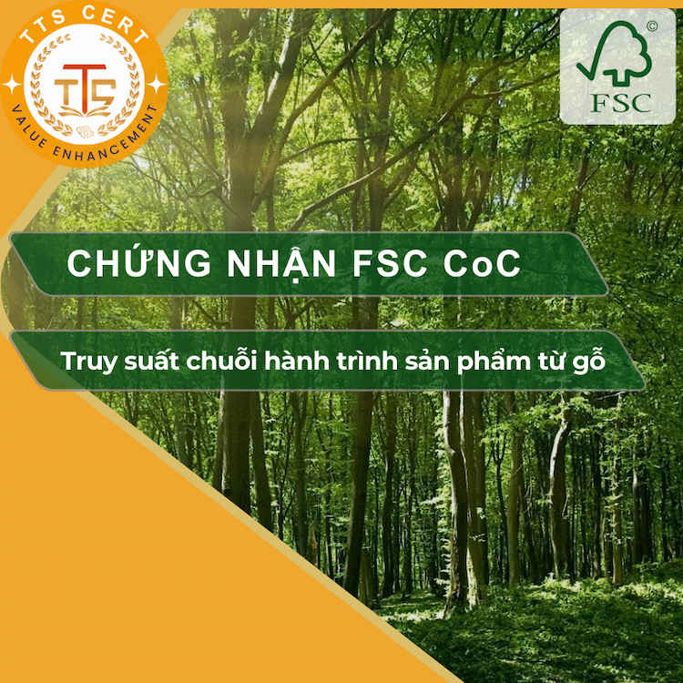 TRÁCH NGHIỆM XÃ hỘI